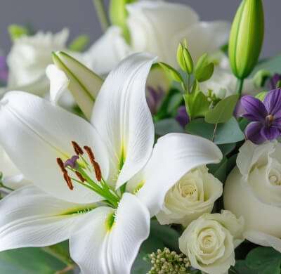 枕花の無料お届け