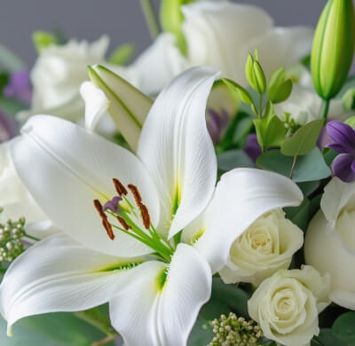枕花の無料お届け